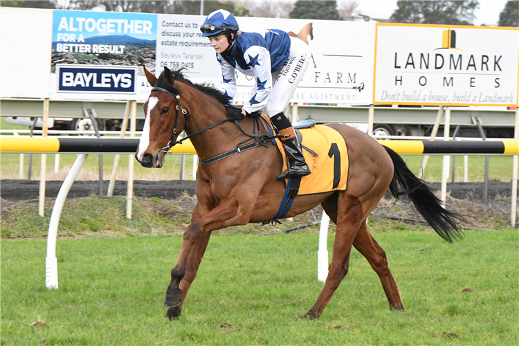 Happy Star will contest the Norwood 1400 at Awapuni on Saturday.