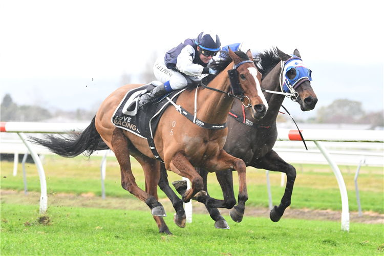 HAPPY STAR winning the Waterforce Hcp (99)