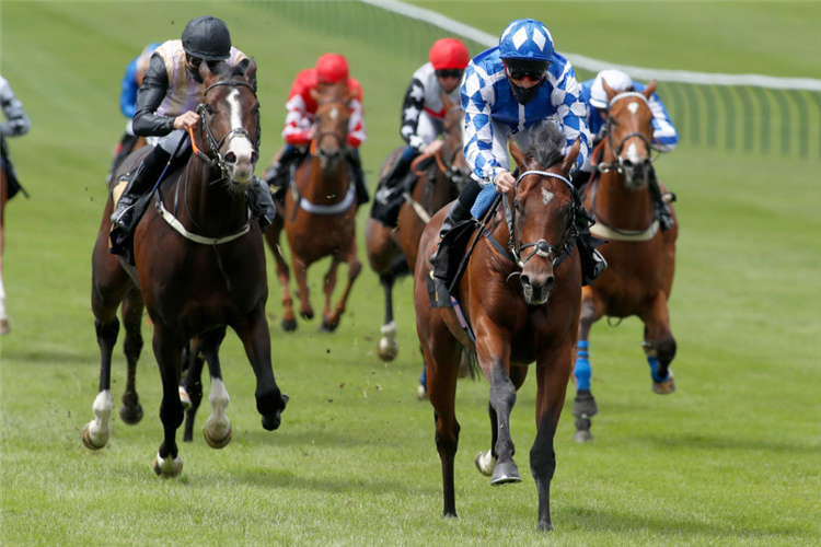 HAQEEQY winning the Betway Novice Stakes in Newmarket, England.