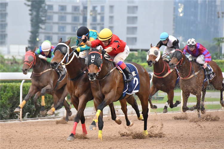 HARVEST YEAR winning the THE GUANGZHOU