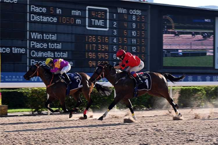 HARVEST YEAR winning the THE JADE