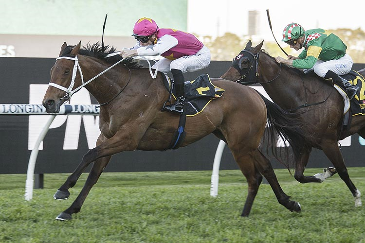 HAUT BRION HER winning the Schweppes Sheraco Stakes