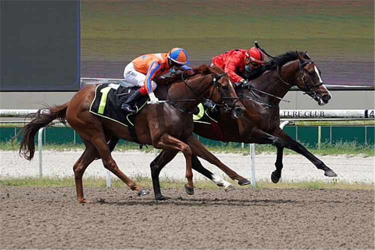 HEARTENING FLYER winning the RESTRICTED MAIDEN