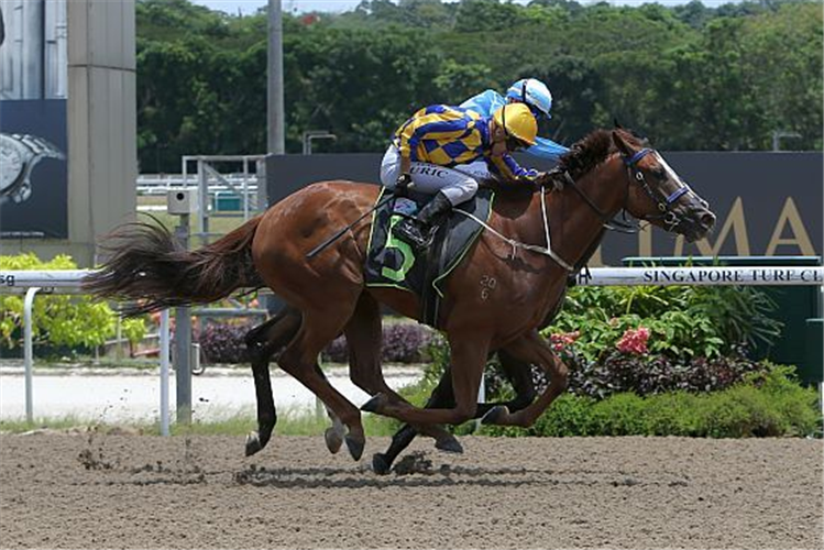 HEAVENLY DANCER winning the RESTRICTED MAIDEN