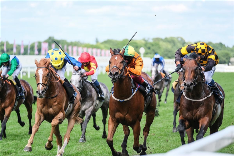 HELLO YOUMZAIN (R)w inning the Diamond Jubilee Stakes at Ascot in England.