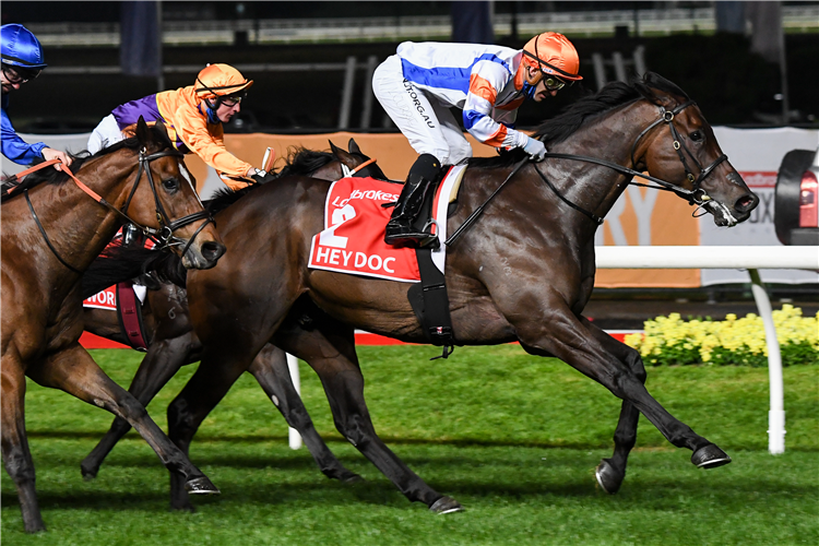 HEY DOC winning the Manikato Stakes at Moonee Valley in Australia.