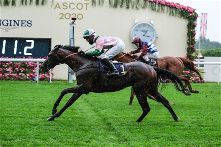 HIGHLAND CHIEF winning the Golden Gates Handicap at Ascot in England.