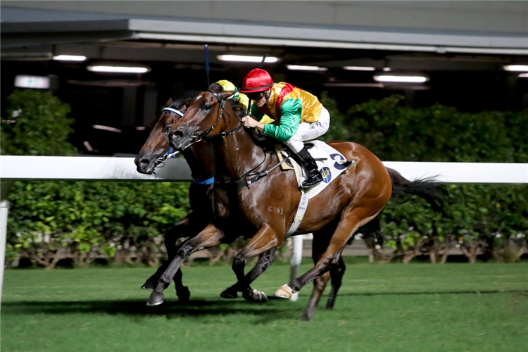 HIGHLAND FORTUNE winning the Mount Gough Hcp (C3)