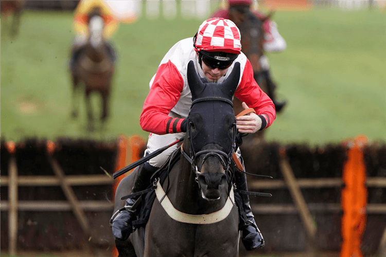 HIGHWAY ONE O TWO winning the Sky Sports Racing On Sky 415 Novices' Hurdle in Plumpton, England.
