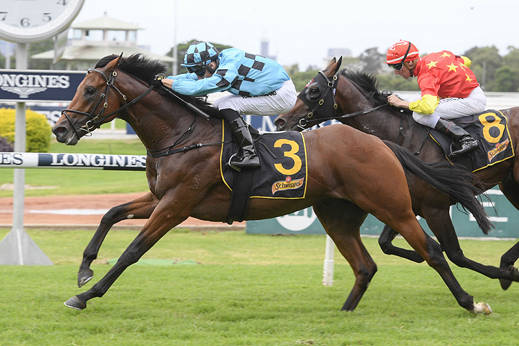 HOLYFIELD winning the The Schweppervescence