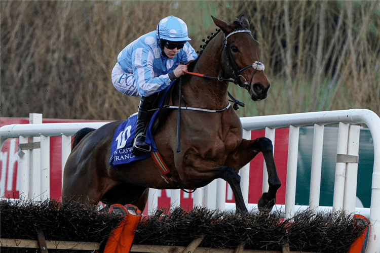 HONEYSUCKLE winning the Irish Champion Hurdle at Leopardstown in Dublin, Ireland.