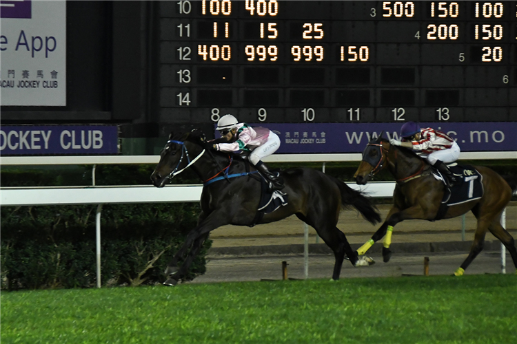 HOSTWIN EPANOUI winning the THE TOWNSVILLE