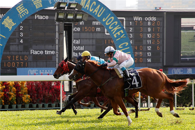 HOSTWIN EUPHORIA(outside) winning the 2020 MAGIC MILLIONS GOLD COAST 2 YO'S IN TRAINING SALE STAKES