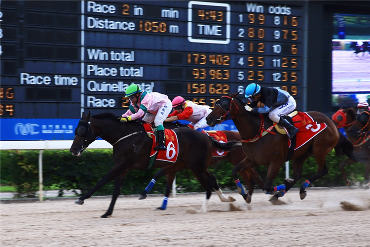 HOSTWIN POSEIDON winning the THE ASSOCIATION OF MACAU RACING JOURNALISTS CUP