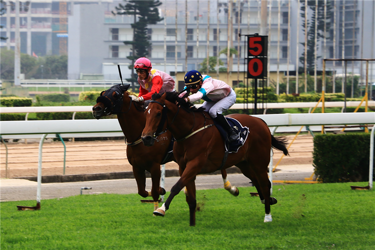 HOSTWIN SATURN winning the THE JAIPUR