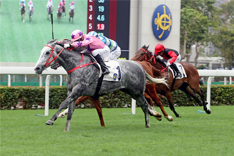 HOT KING PRAWN winning the Chek Lap Kok Hcp.