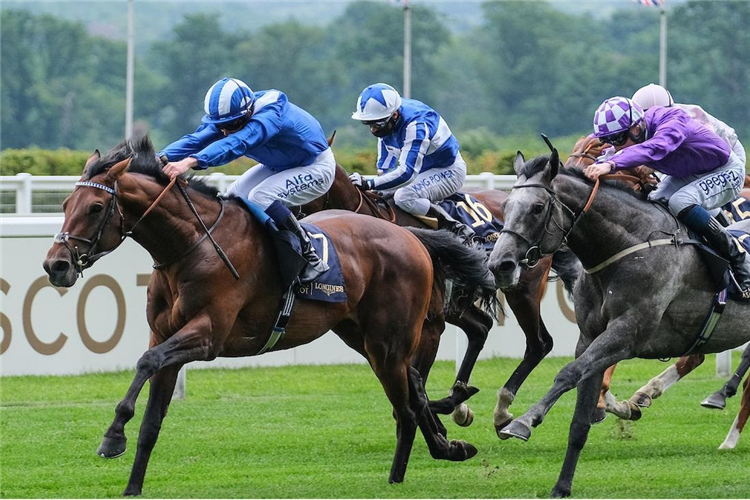 HUKUM winning the King George V Stakes at Ascot in England.
