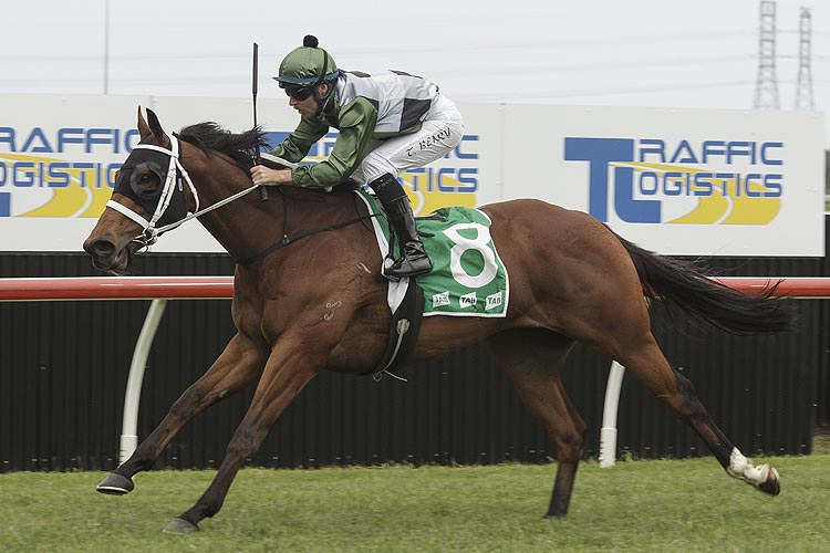 HULK winning the Evergreen Turf Australia-Bm78