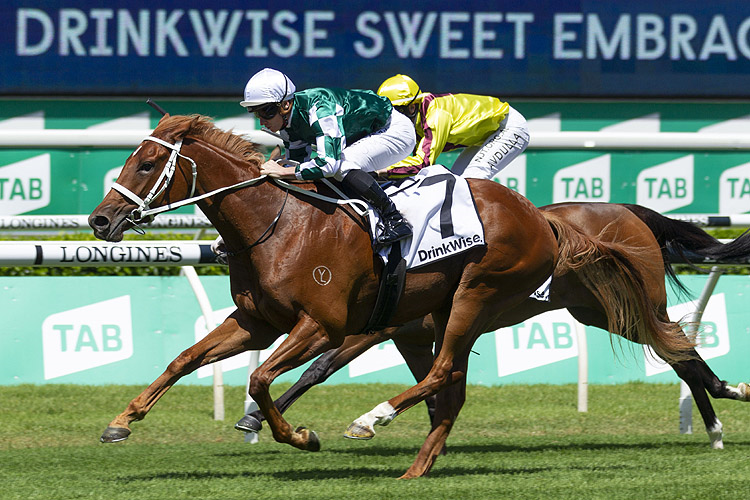 HUNGRY HEART winning the Drinkwise Sweet Embrace Stakes