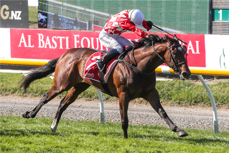 HYPNOS winning the 16th Coupland's Bakeries Mile