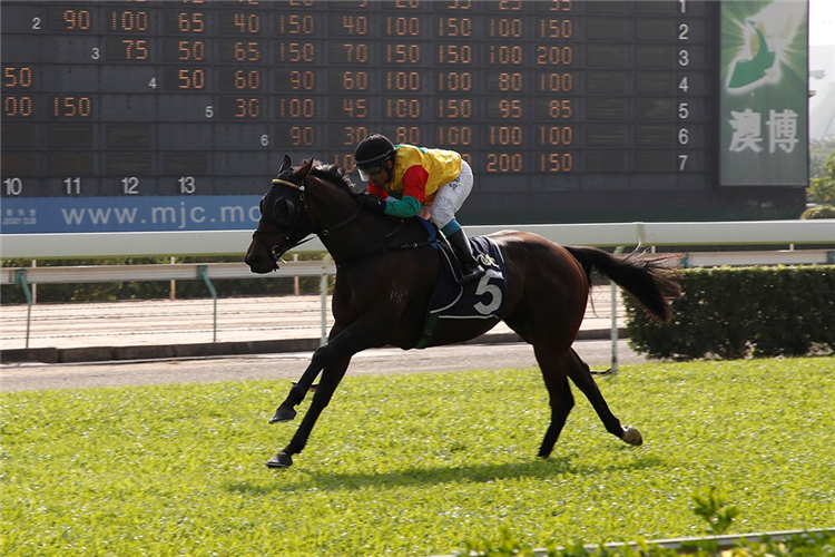 HYSHEM winning the RAHEEN STUD STAKES