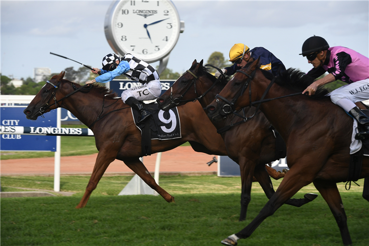 I AM EXCITED winning the City Tattersalls Club Galaxy.