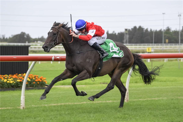 Sacred Falls filly Icebath finished third in the Gr.3 Hawkesbury Guineas (1400m) at Rosehill on Saturday.