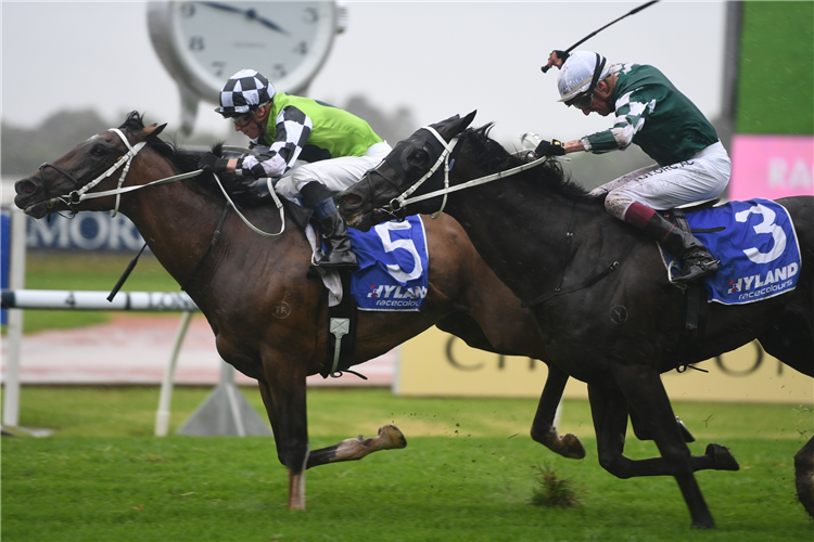 IMAGING winning the Hyland Race Colours Ajax Stakes.