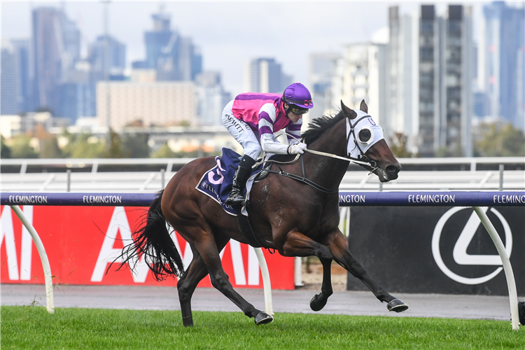 IMMORTAL LOVE winning the Tom Melbourne Trophy in Flemington, Australia.