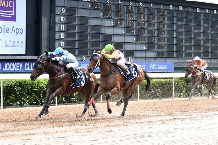 IMPERIAL EAGLE winning the THE NATAL (DIV 2)