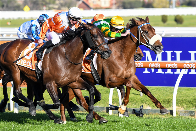 IN GOOD HEALTH winning the Neds Heatherlie Stakes (LR).