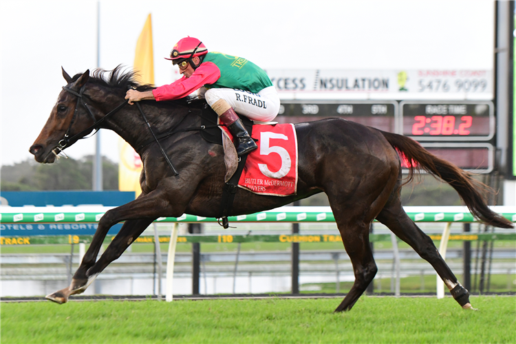 IN SWOOP winning the Deutsches Derby.