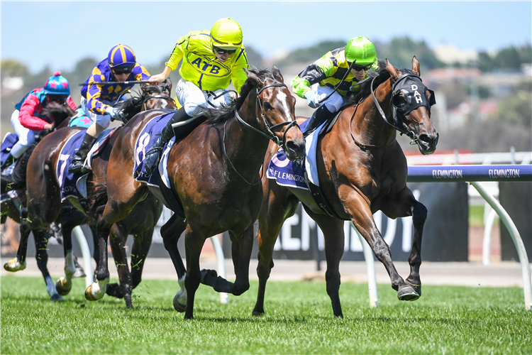 INDEPENDENT ROAD (Green Cap) winning the Living Legends Hcp at Flemington in Australia.