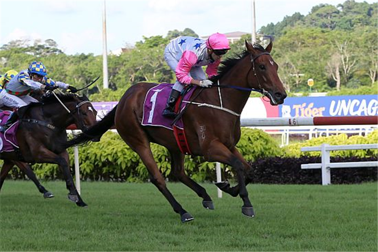 INFERNO winning the SINGAPORE CLASSIC GROUP 2