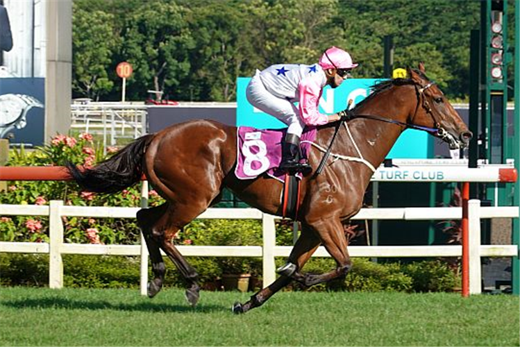 INFERNO winning the LION CITY CUP GROUP 1