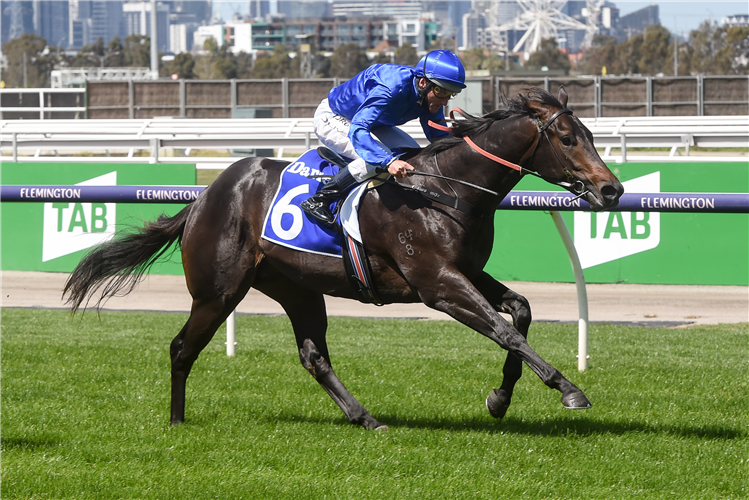 INGRATIATING winning the Darley Maribyrnong Trial Stks at Flemington in Australia.