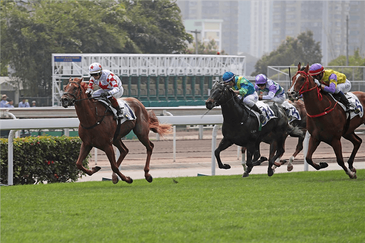 INNER FLAME winning the Carpenter Hcp (C4)