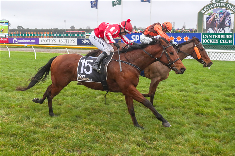 Rohan Mudhoo drives Irish Excuse (inner) to the line to deny Whale Song victory at Riccarton