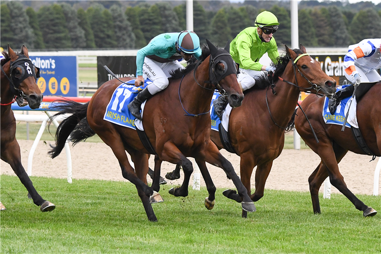 IRISH FLAME winning the Ballarat Cup.