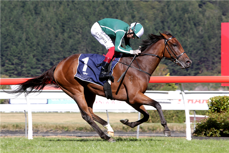 JENNIFER ECCLES winning the Al Basti Equiworld N.Z. Oaks