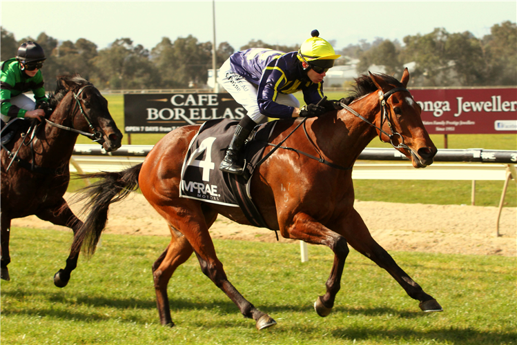 JET JACKSON winning the Albury Wodonga Rv World Mdn.