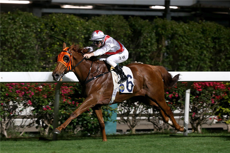 JOLLY HONOUR winning the Po Chong Wan Hcp (C3)