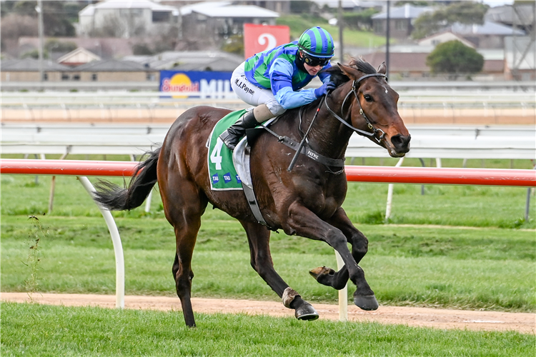 JUKILA winning the Road to Jericho BM78 Handicap in Warrnambool, Australia.