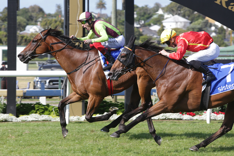 Julius winning the Sistema Railway