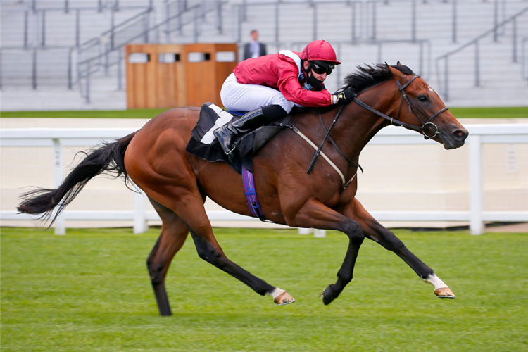 JUMBY winning the Betfred Still Treble Odds On Lucky 15's Novice Auction Stakes in Ascot, England.