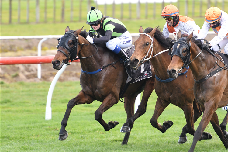 Junior (inner) fights hard for Chelsea Burdan as he takes out the Opal Kiwi Packaging Kiwifruit Cup (2100m) at Tauranga