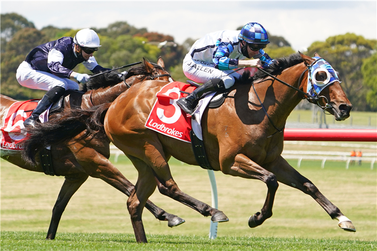 JUNIPAL winning the Zircodata Sandown Stakes.