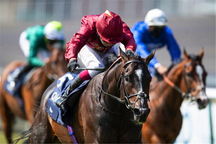 KAMEKO winning the Qipco 2000 Guineas Stakes (Group 1)