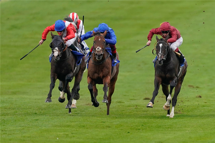 KAMEKO (R) winning the Shadwell Joel Stakes at Newmarket in England.