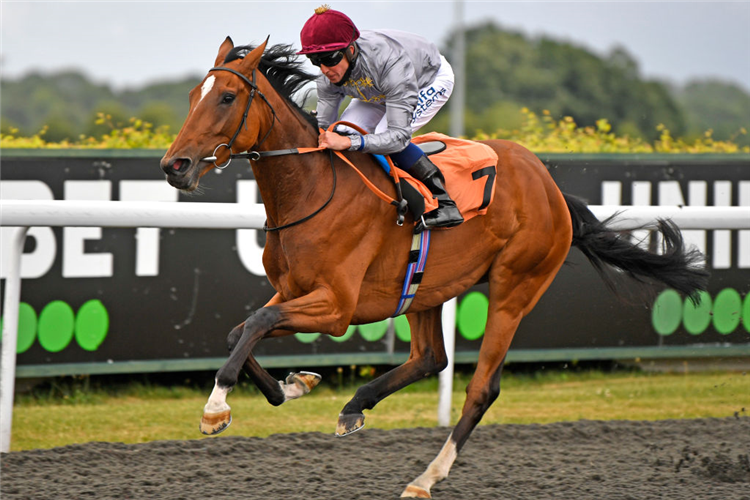 KATARA winning the Unibet Extra Place Offers Every Day Fillies' Novice Stakes at Kempton Park in Sunbury, England.